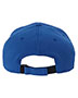 Sustainable Performance Cap