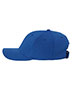 Sustainable Performance Cap