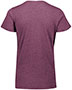 Womens Triblend T-Shirt