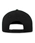 Momentum Team Cap