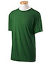 Forest Green-02543B