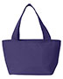 Simple and Cool Recycled Cooler Bag