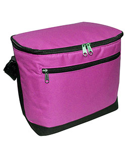 Liberty Bags 1695 Women 12-Pack Cooler at BignTallApparel